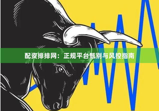 配资排排网：正规平台甄别与风控指南